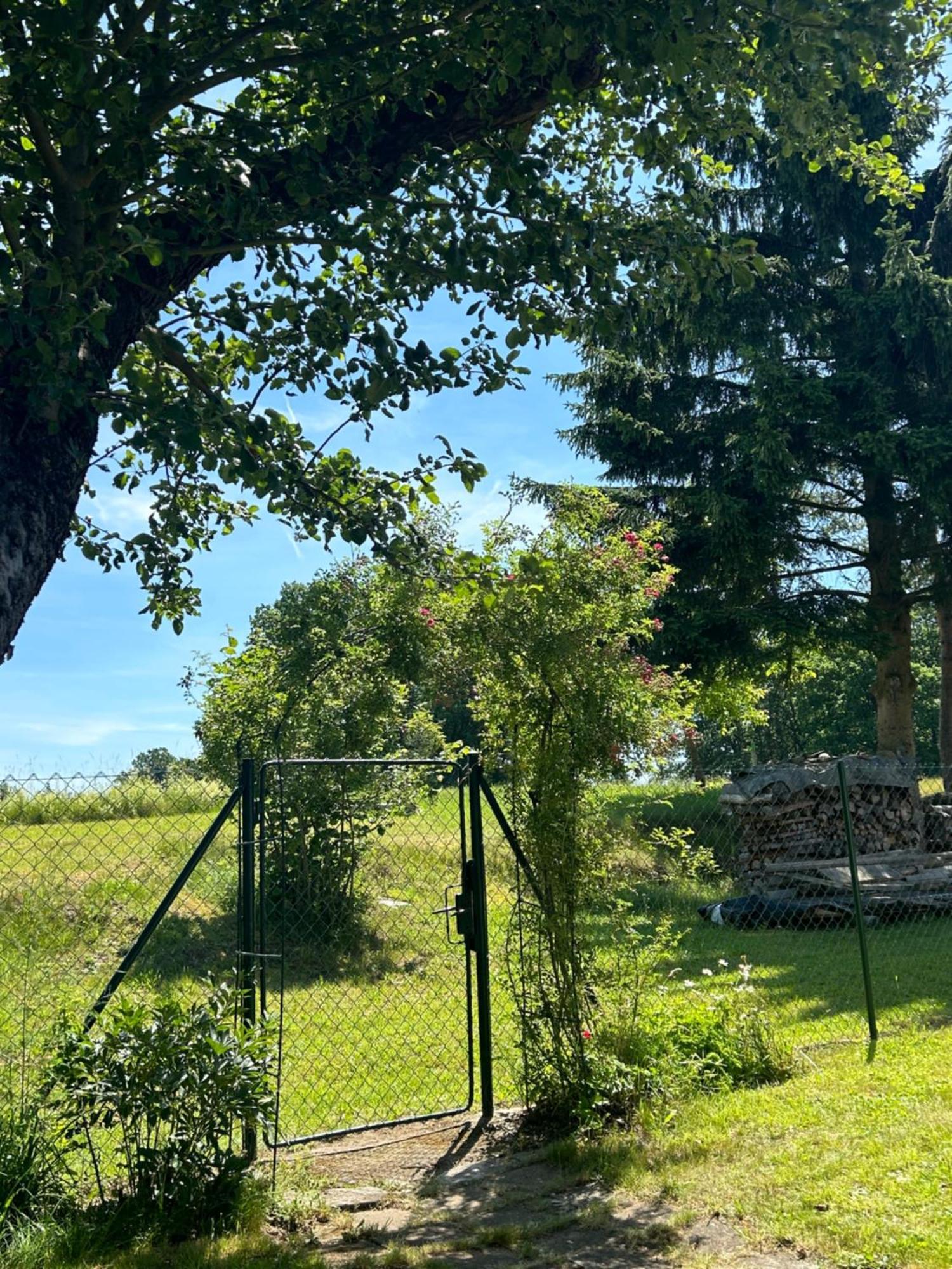 Prijemna Chaloupka Na Trebonsku Villa Chlum u Trebone Exteriör bild